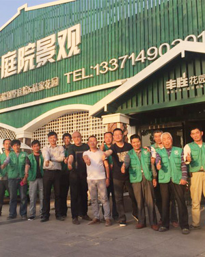 ܇//ͣ܇,ϏVˇĤY޹˾,ϏVˇĤY޹˾,ĤY,ϏĤ,LɳĤY,ĤY,Ͼ^gĤ,LɳĤY܇,LɳĤb,LɳĤYʩ